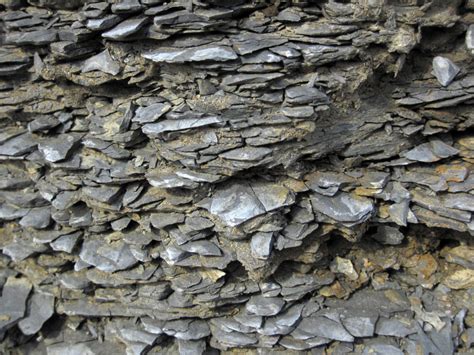 Shale geology: characteristics, formation, uses 